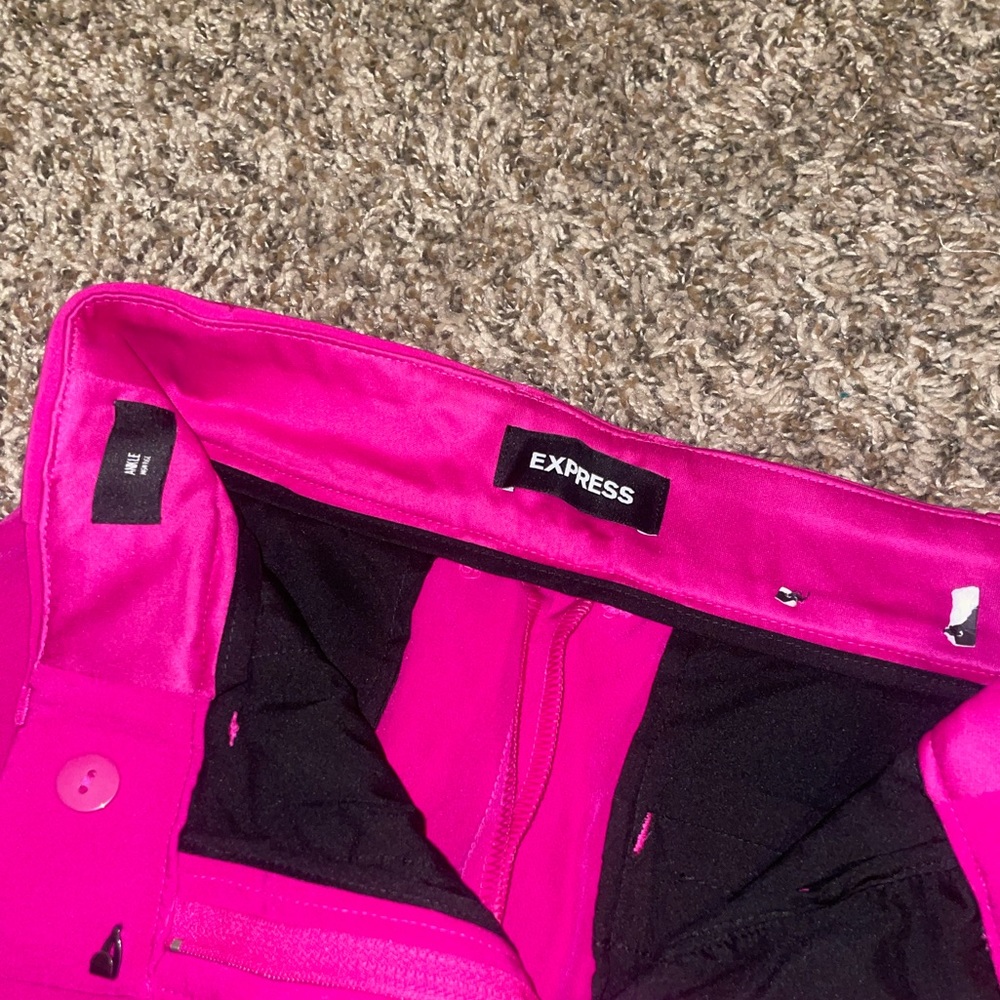 Express Berry Dress Pants